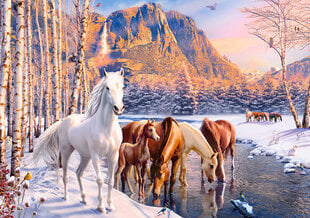 Dėlionė Castorland arklių žiemos peizažas, 500 d. kaina ir informacija | Dėlionės (puzzle) | pigu.lt