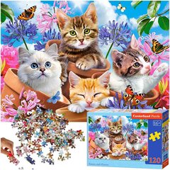 Dėlionė Castorland Kačiukai su gėlėmis, 120 d. kaina ir informacija | Dėlionės (puzzle) | pigu.lt