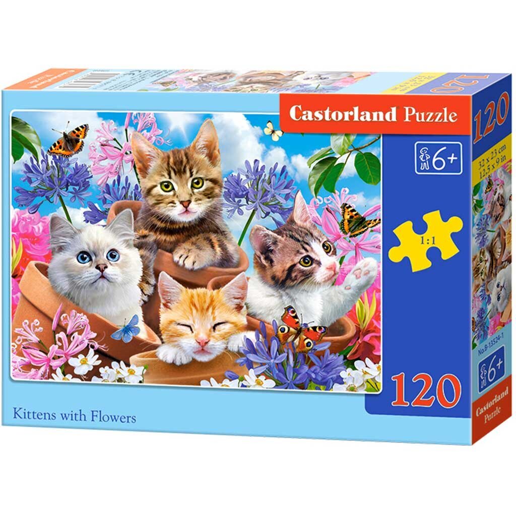 Dėlionė Castorland Kačiukai su gėlėmis, 120 d. kaina ir informacija | Dėlionės (puzzle) | pigu.lt