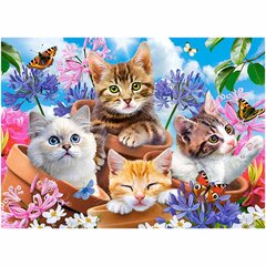 Dėlionė Castorland Kačiukai su gėlėmis, 120 d. цена и информация | Пазлы | pigu.lt