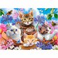 Dėlionė Castorland Kačiukai su gėlėmis, 120 d. цена и информация | Dėlionės (puzzle) | pigu.lt