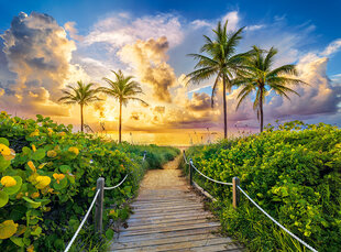 Dėlionė Castorland Spalvingas saulėtekis Majamyje, JAV, 3000 d. kaina ir informacija | Dėlionės (puzzle) | pigu.lt