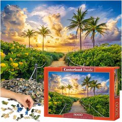 Dėlionė Castorland Spalvingas saulėtekis Majamyje, JAV, 3000 d. цена и информация | Пазлы | pigu.lt