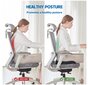Ortopedinė kėdės pagalvėlė laikysenai pagerinti kaina ir informacija | Dekoratyvinės pagalvėlės ir užvalkalai | pigu.lt