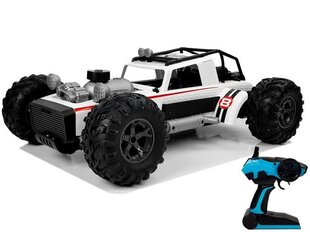 Дистанционно управляемый Auto Buggy 1:12 2.4G, белый цена и информация | Игрушки для мальчиков | pigu.lt