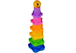 Piramidės puodeliai kūdikiui Lean Toys kaina ir informacija | Žaislai kūdikiams | pigu.lt