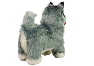 Interaktyvus šuniukas Husky, pilkas kaina ir informacija | Žaislai mergaitėms | pigu.lt