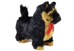 Interaktyvus šuniukas Aviganis, juodas kaina ir informacija | Žaislai mergaitėms | pigu.lt
