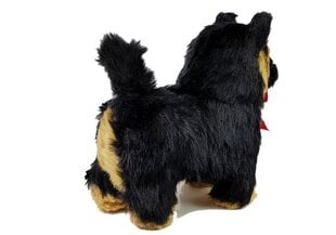 Interaktyvus šuniukas Aviganis, juodas kaina ir informacija | Žaislai mergaitėms | pigu.lt