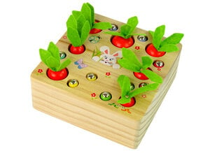 Деревянная игра "Морковка и червячки" цена и информация | Развивающие игрушки | pigu.lt