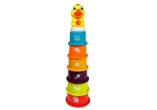 Разноцветная пирамида цена и информация | Игрушки для малышей | pigu.lt