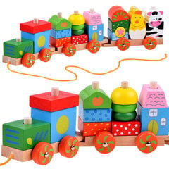 Medinis geležinkelio lokomotyvas su vagonais kaina ir informacija | Žaislai berniukams | pigu.lt