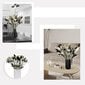 Pampų Džiovintų gėlių dekoracija, 120 vnt цена и информация | Floristikos reikmenys | pigu.lt