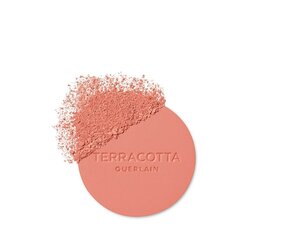 Veido skaistalai Guerlain Gier Terracotta Polvos, 02 Light Coral, 5 g kaina ir informacija | Bronzantai, skaistalai | pigu.lt