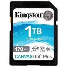 Kingston SDG3 kaina ir informacija | Atminties kortelės telefonams | pigu.lt
