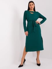 Suknelė moterims 354515346, žalia цена и информация | Платья | pigu.lt