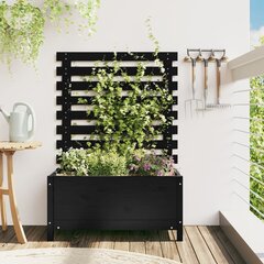 Sodo lovelis su stovu, 79x39,5x114 cm цена и информация | Ящики для рассады | pigu.lt