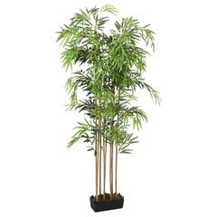 Dirbtinis bambukas kaina ir informacija | Dirbtinės gėlės | pigu.lt