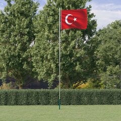 Turkijos vėliava su stiebu, 6,23 m цена и информация | Флаги и аксессуары к ним | pigu.lt