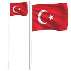 Turkijos vėliava su stiebu, 6,23 m kaina ir informacija | Vėliavos ir jų priedai | pigu.lt