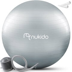 Gimnastikos kamuolys su pompa Nukido NS-951, 65cm, pilkas цена и информация | Гимнастические мячи | pigu.lt