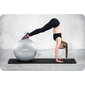 Gimnastikos kamuolys su pompa Neo Sport NS-952, 75 cm, pilkas kaina ir informacija | Gimnastikos kamuoliai | pigu.lt