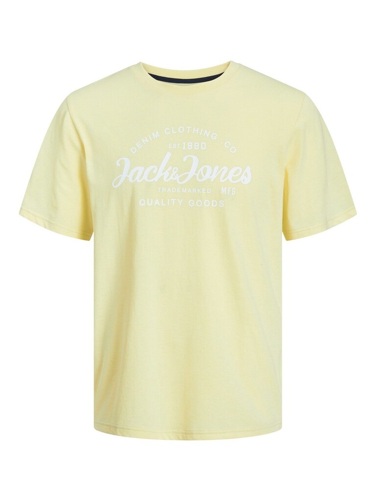 Marškinėliai berniukams Jack & Jones, geltoni kaina ir informacija | Marškinėliai berniukams | pigu.lt