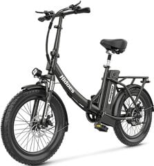Электровелосипед Hidoes C2, 20", черный цена и информация | Электровелосипеды | pigu.lt