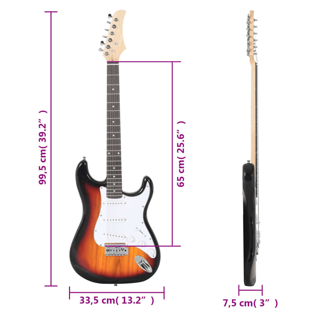 Elektrinė gitara su dėklu VidaXL 4/4 39 kaina ir informacija | Gitaros | pigu.lt