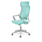Ofiso kedė, Sofotel Labi, žalia kaina ir informacija | Biuro kėdės | pigu.lt