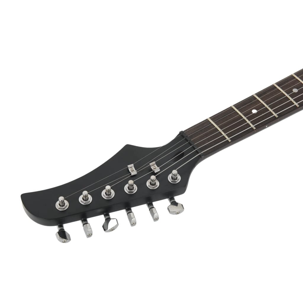 Elektrinė gitara su dėklu VidaXL 4/4 39 kaina ir informacija | Gitaros | pigu.lt