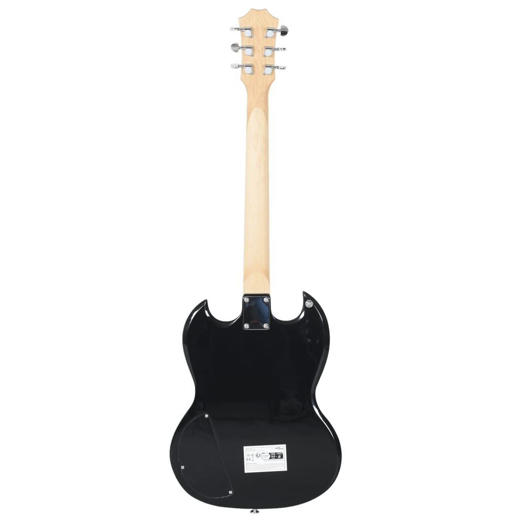 Elektrinė gitara su dėklu VidaXL 4/4 39 kaina ir informacija | Gitaros | pigu.lt