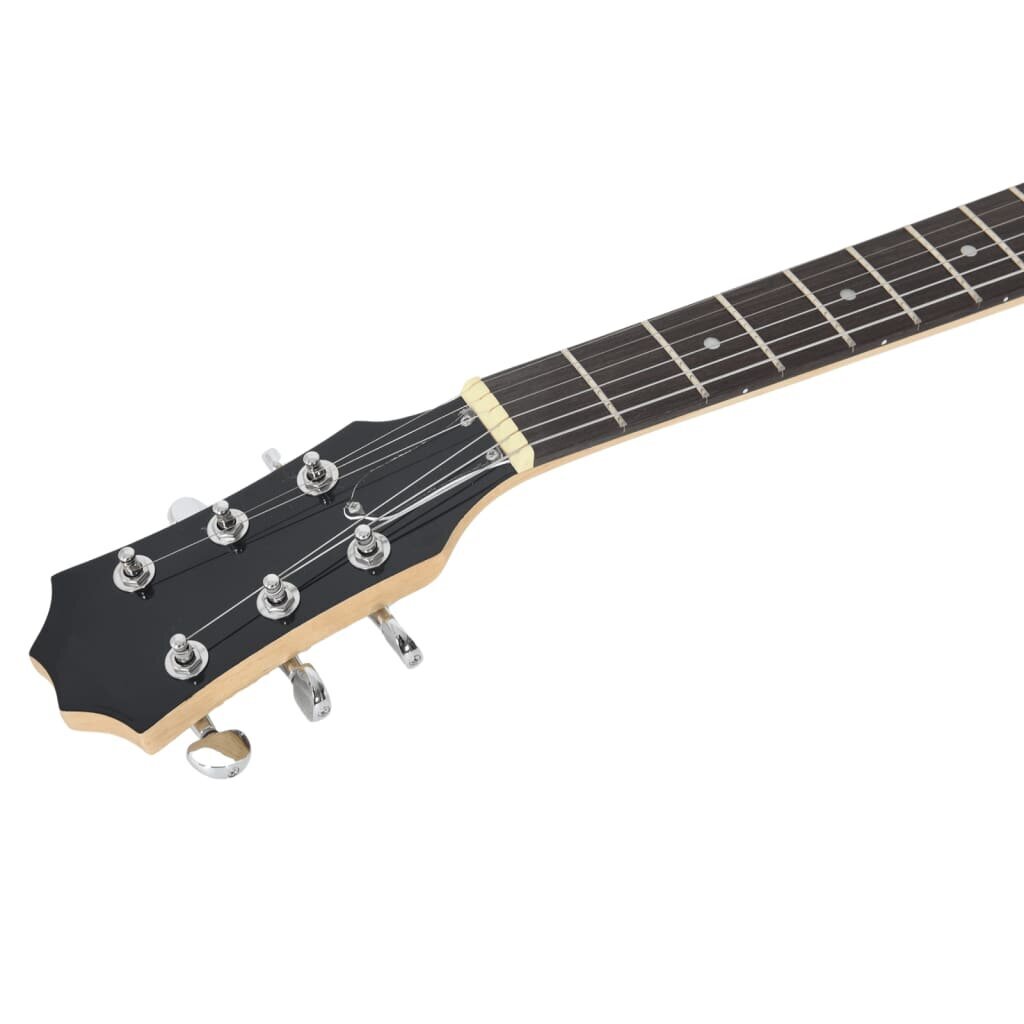 Elektrinė gitara su dėklu VidaXL 4/4 39 kaina ir informacija | Gitaros | pigu.lt