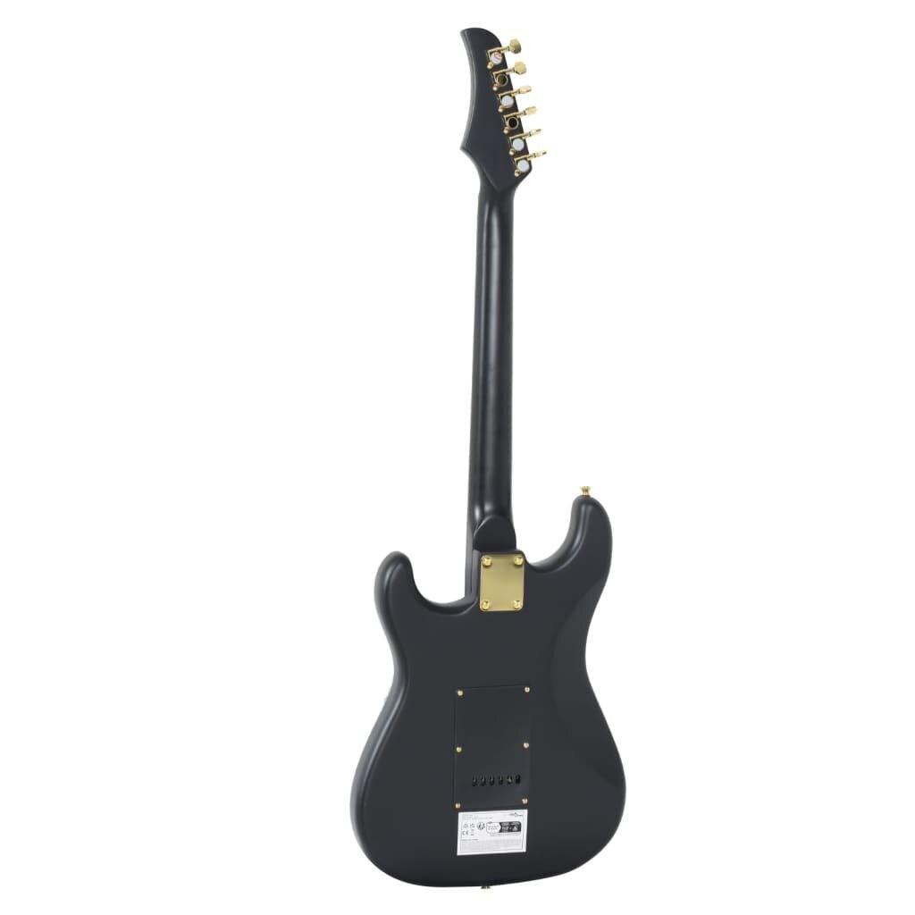 Elektrinė gitara su dėklu vidaXL цена и информация | Gitaros | pigu.lt