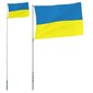 Ukrainos vėliava su stiebu, 5,55 m kaina ir informacija | Vėliavos ir jų priedai | pigu.lt