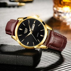 Мужские часы Lige 115. цена и информация | Мужские часы | pigu.lt