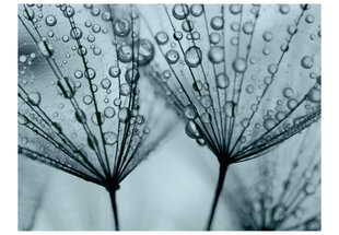 Prekė su pažeista pakuote.Fototapetas - Turquoise dandelion цена и информация | Товары для ремонта с поврежденной упаковкой | pigu.lt