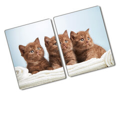 Pjaustymo lentelė Kačių rankšluostis, 2x40x52 cm, 2 vnt. kaina ir informacija | Pjaustymo lentelės | pigu.lt