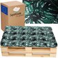 Sūpynių pagalvė Exotic 120x80cm įvairių spalvų цена и информация | Pagalvės, užvalkalai, apsaugos | pigu.lt