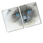 Pjaustymo lentelė Mėlynos katės akys, 2x40x52 cm, 2 vnt. kaina ir informacija | Pjaustymo lentelės | pigu.lt