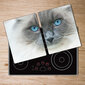 Pjaustymo lentelė Mėlynos katės akys, 2x40x52 cm, 2 vnt. kaina ir informacija | Pjaustymo lentelės | pigu.lt