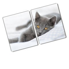 Pjaustymo lentelė Pilka katė, 2x40x52 cm, 2 vnt. kaina ir informacija | Pjaustymo lentelės | pigu.lt