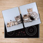 Pjaustymo lentelė Penkios katės, 2x40x52 cm, 2 vnt. kaina ir informacija | Pjaustymo lentelės | pigu.lt