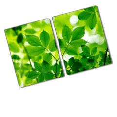 Pjaustymo lentelė Žali lapai, 2x40x52 cm, 2 vnt. kaina ir informacija | Pjaustymo lentelės | pigu.lt