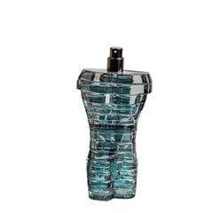 Tualetinis vanduo Reyoung Oso Perfect Men EDT vyrams, 100 ml цена и информация | Мужские духи | pigu.lt