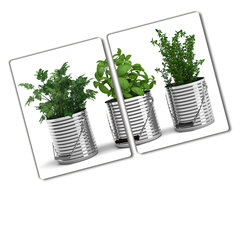 Pjaustymo lentelė Aromatiniai augalai, 2x40x52 cm, 2 vnt. цена и информация | Разделочная доска | pigu.lt