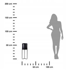 Металлическая подставка для цветов Mondex 55 см. цена и информация | Подставки для цветов, держатели для вазонов | pigu.lt