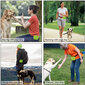 Šunų skanėstų maišelis, žalias kaina ir informacija | Dresūros priemonės šunims | pigu.lt