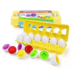 Kiaušinių formos žaidimas Sferazabawek kaina ir informacija | Lavinamieji žaislai | pigu.lt