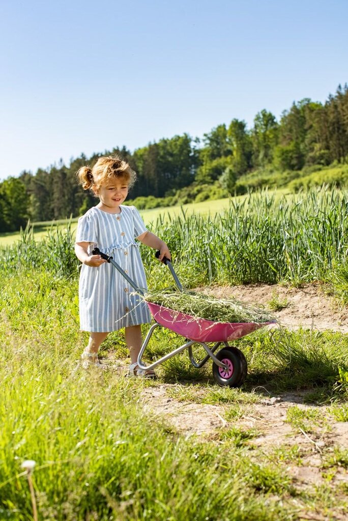 Metalinis vežimėlis Rolly toys 274802, rožinis kaina ir informacija | Žaislai mergaitėms | pigu.lt